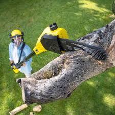  South Gate Ridge, FL Tree Removal and Landscaping Services Pros